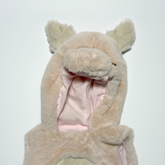 Pottery Barn Kids Beige and Pink Costume - Picture 5 of 13